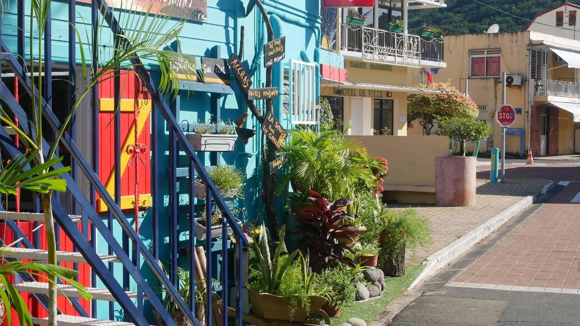 Daire Le Duplex A Deshaies,Vue Mer ,Village A Pieds